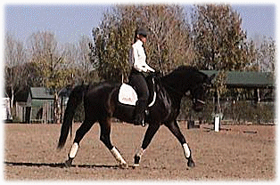 criding2.gif (56286 bytes)